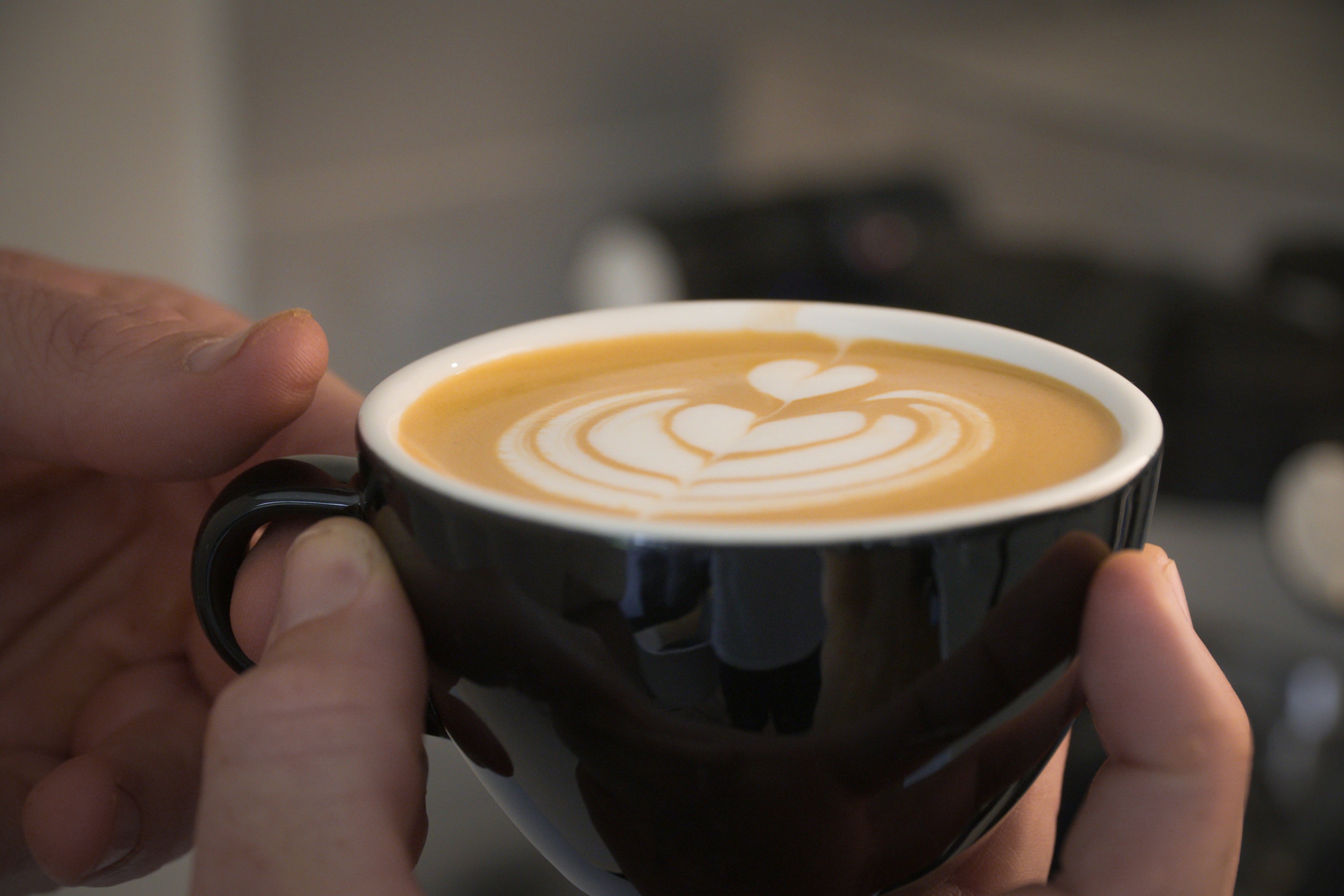 Your new coffee companion