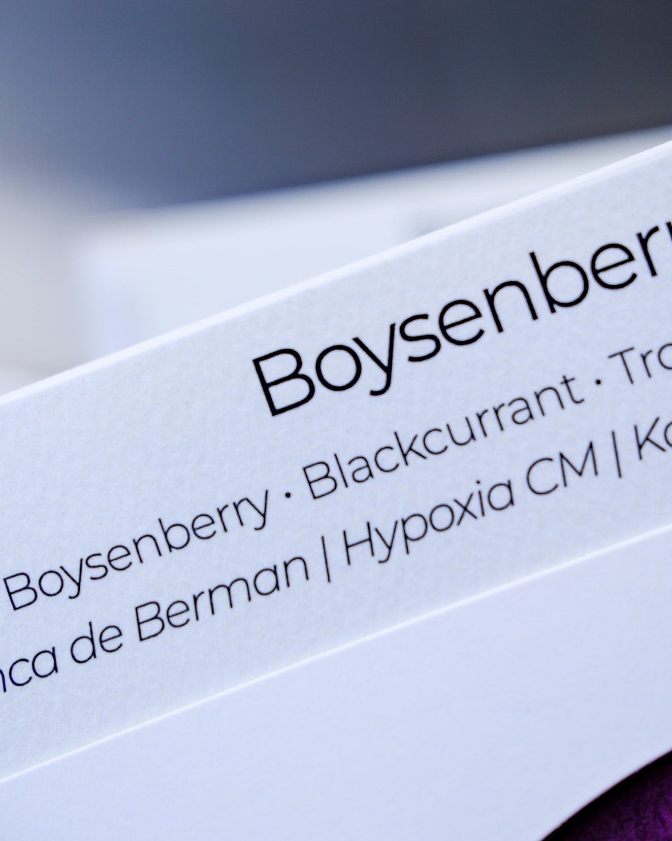 Boysenberry Ripple | Indonesia