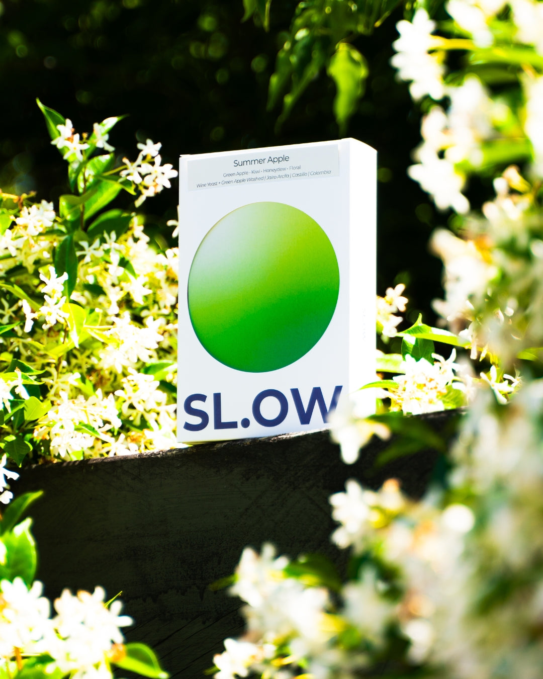 Summer Apple | Colombia