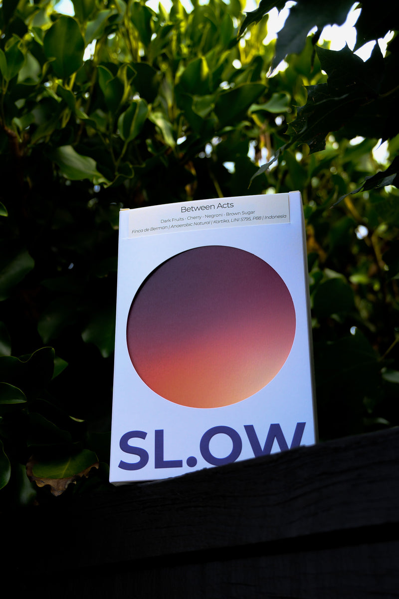 Between Acts specialty coffee from Indonesia - Slow Coffee