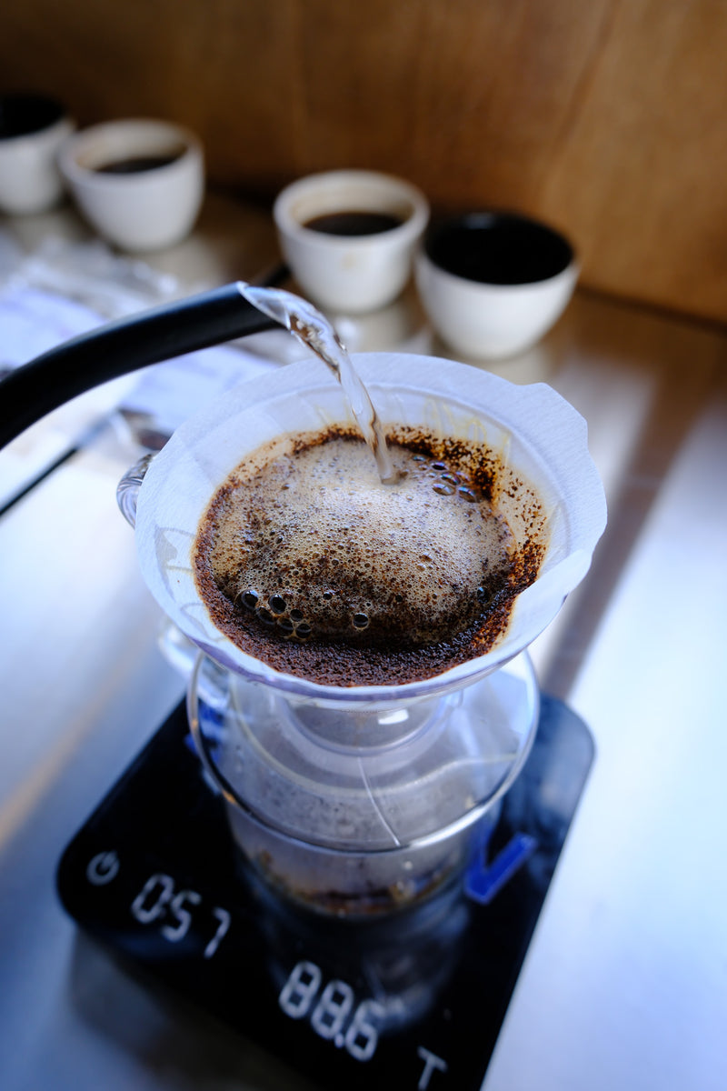 Slow Coffee premium filter subscription - specialty single origin coffee delivered monthly