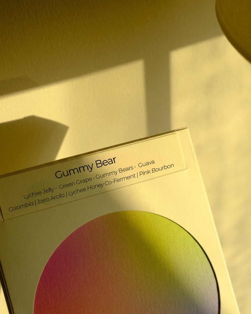 Gummy Bear bag with title detail in warm afternoon light